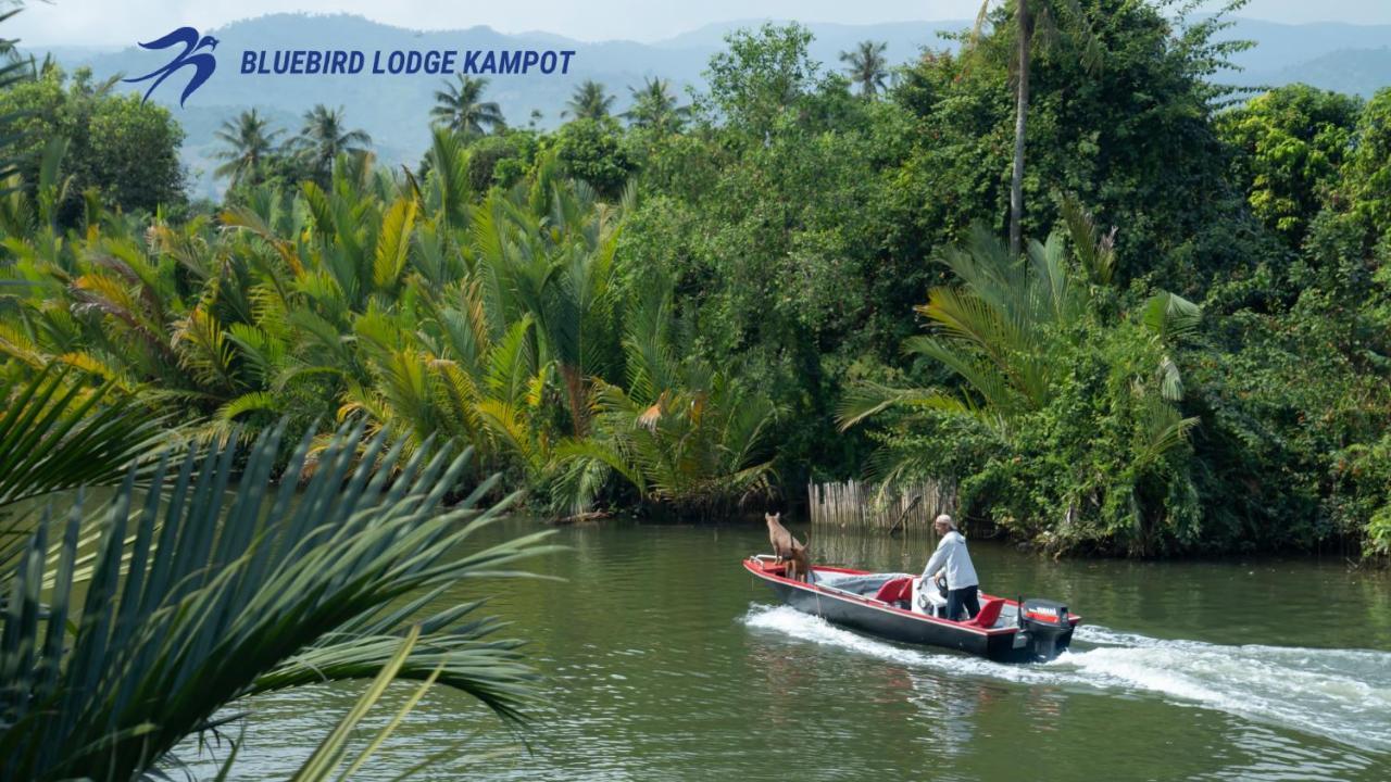 Bluebird Lodge Кампот Экстерьер фото